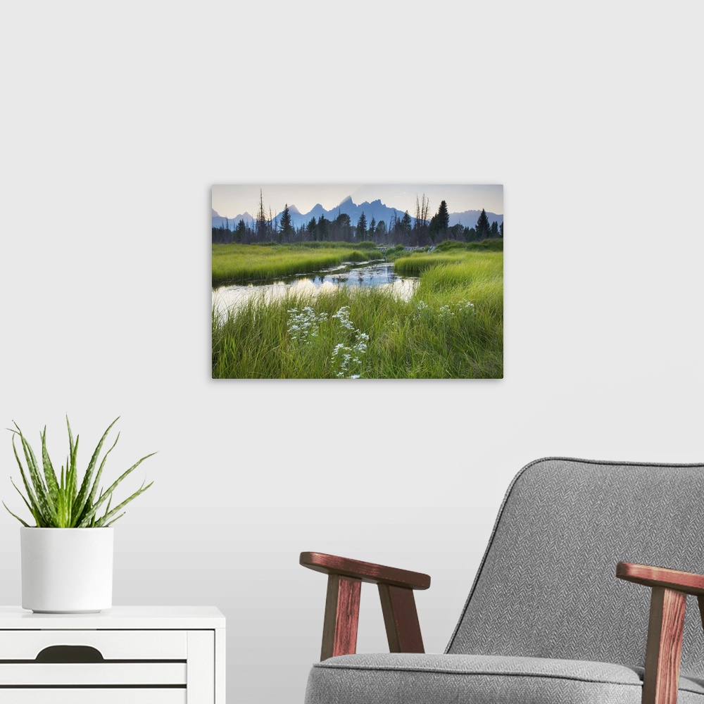 A modern room featuring Wildflowers and the Teton Range at sunset seen from Schwabacher's Landing, Grand Teton National P...