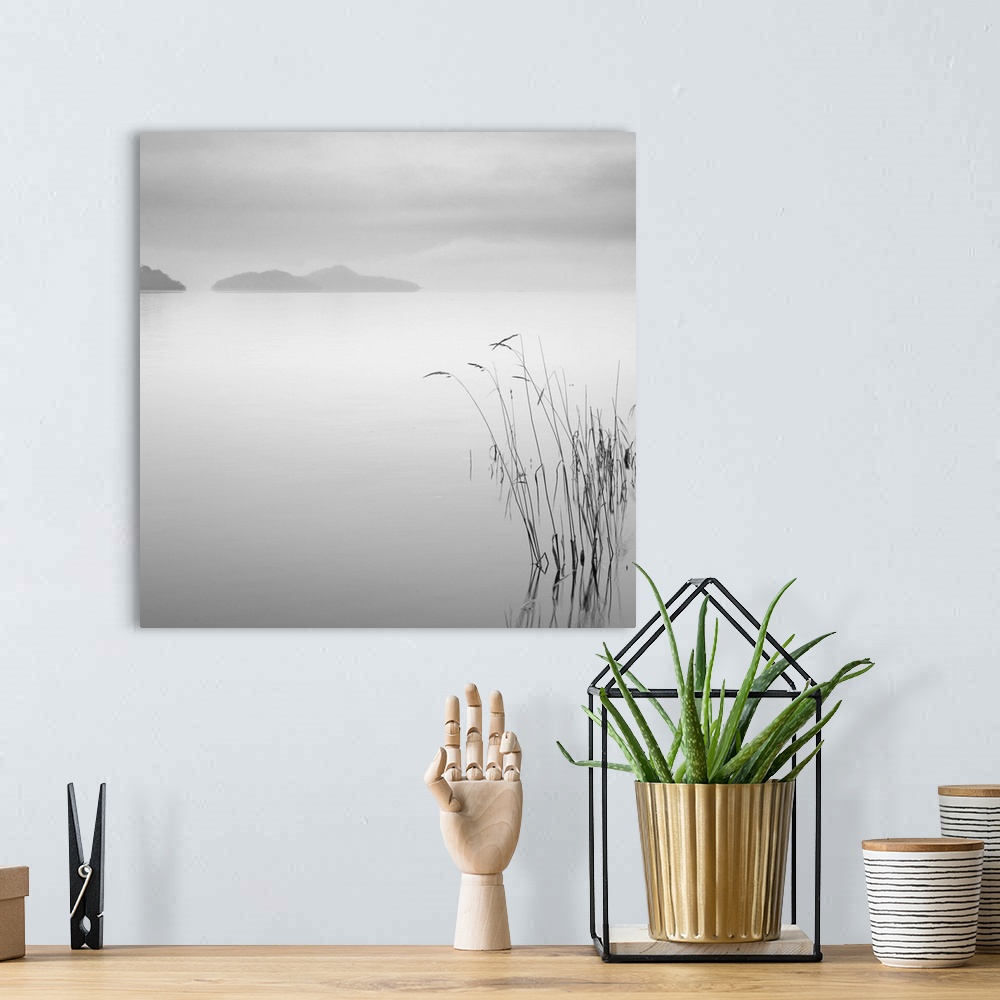A bohemian room featuring Black and white image of some grass and the morning mist over a pre-dawn Loch Lomond, Scotland.
