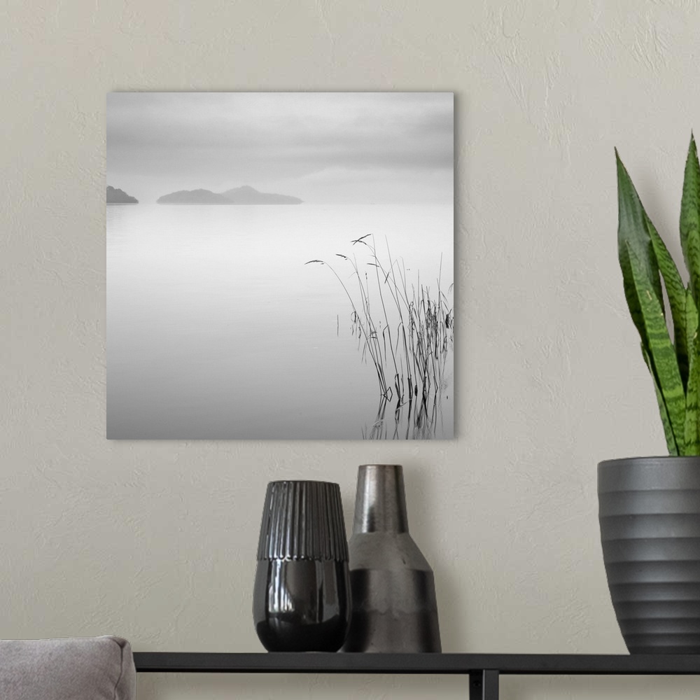 A modern room featuring Black and white image of some grass and the morning mist over a pre-dawn Loch Lomond, Scotland.