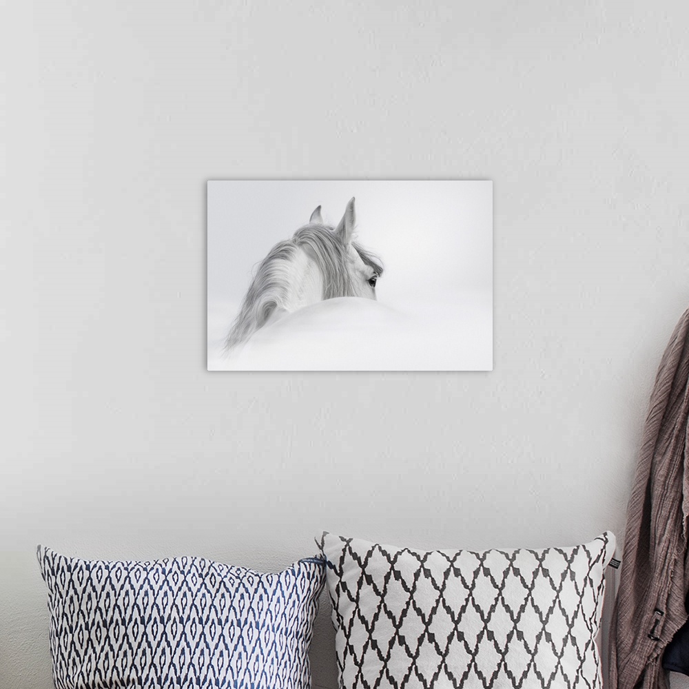 A bohemian room featuring Gray Andalusian stallion in a fog.