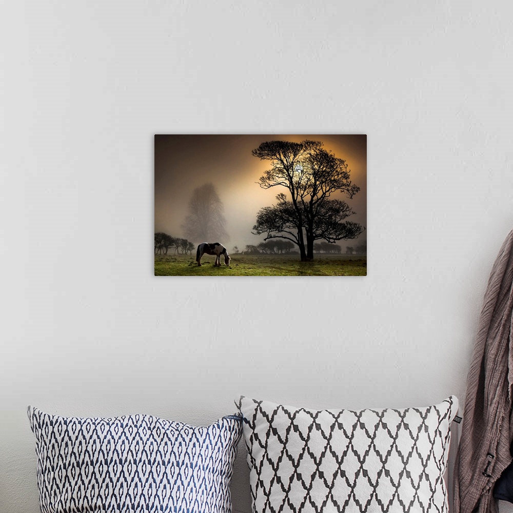 A bohemian room featuring Photograph of spotted mare eating grass at dusk in meadow covered with trees.  The sun is setting...