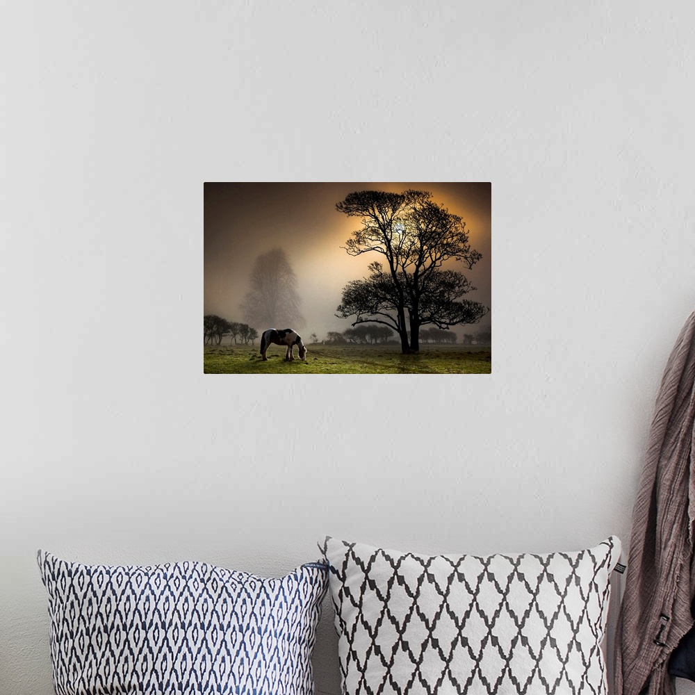 A bohemian room featuring Photograph of spotted mare eating grass at dusk in meadow covered with trees.  The sun is setting...