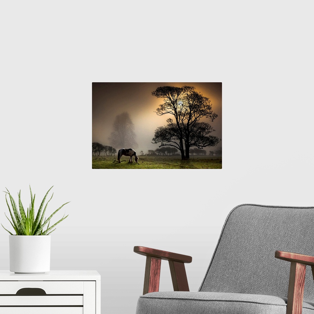 A modern room featuring Photograph of spotted mare eating grass at dusk in meadow covered with trees.  The sun is setting...