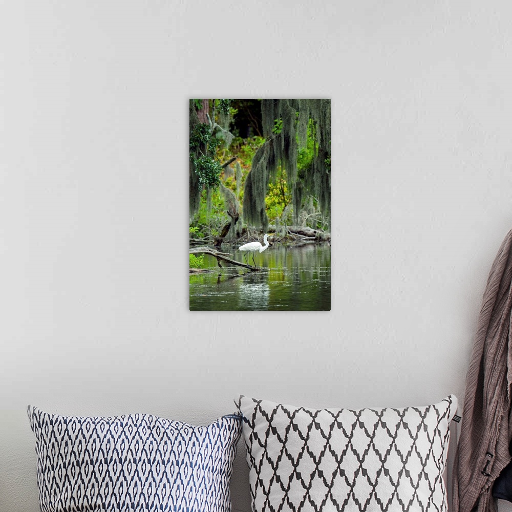 A bohemian room featuring Great Egret