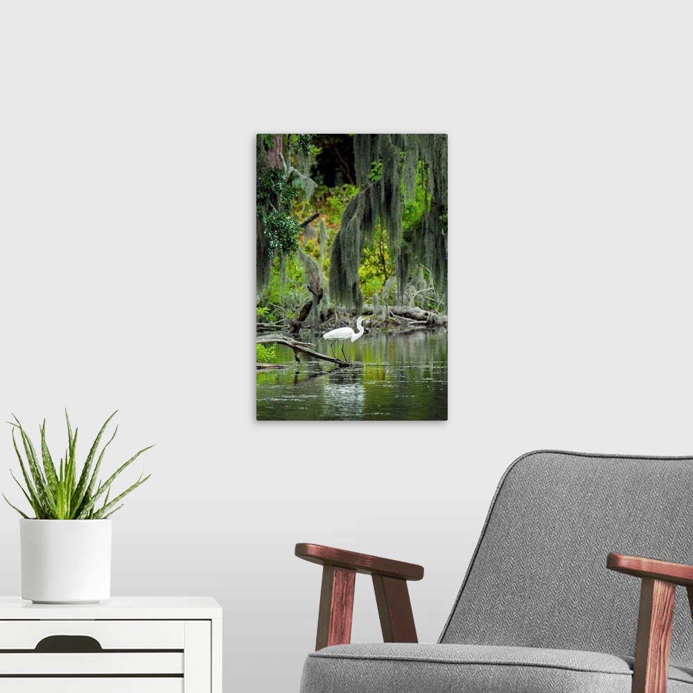 A modern room featuring Great Egret
