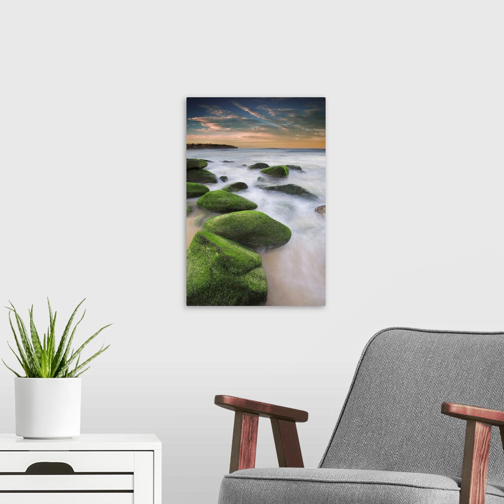 A modern room featuring Green mossy rocks at Curl Curl Beach Northern Beaches, Sydney NSW Australia.