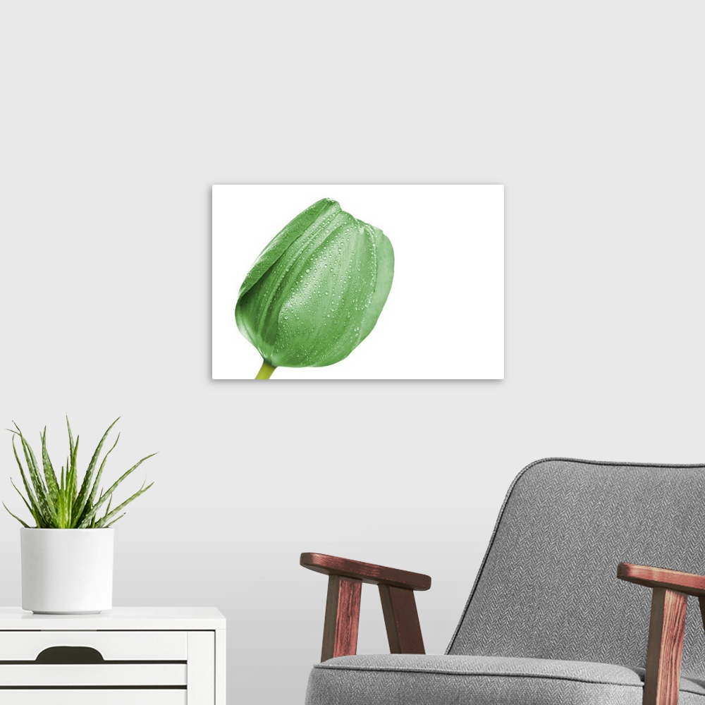 A modern room featuring Green tulip head