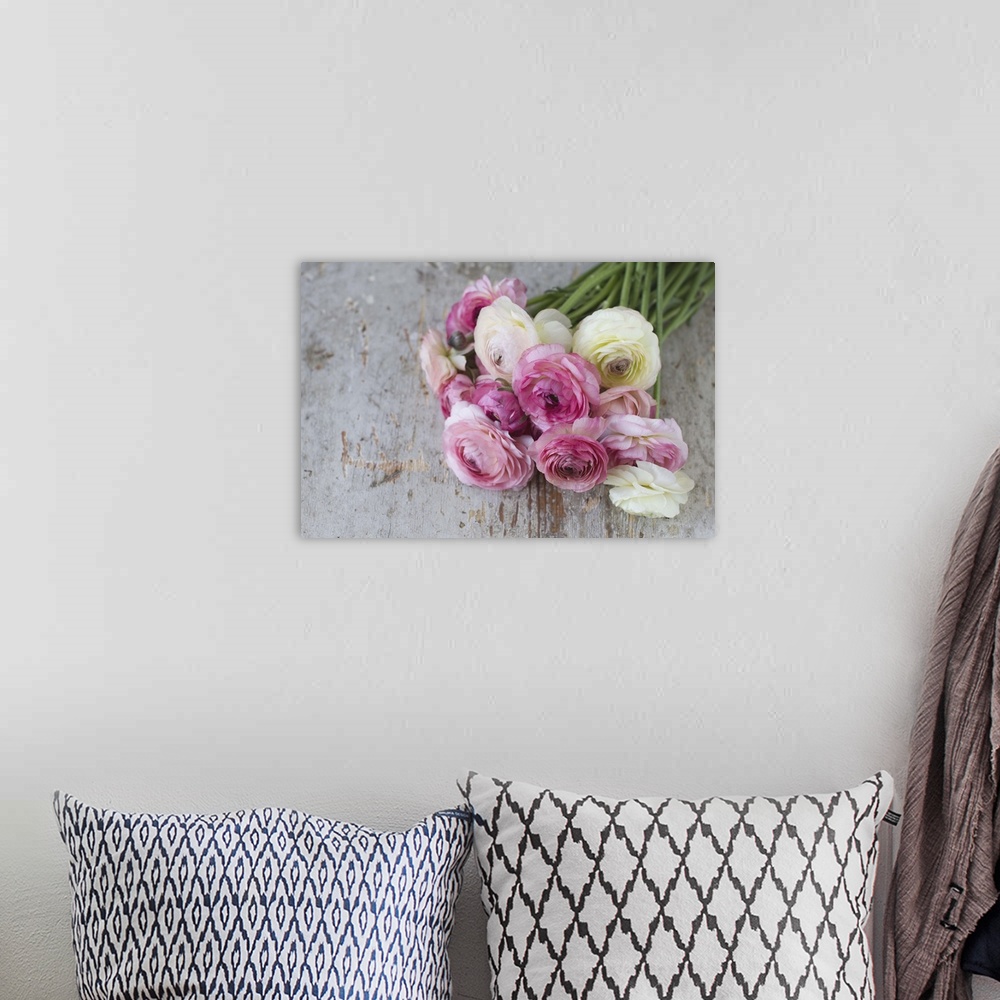 A bohemian room featuring Group of pastel colored ranunculus lying on aged painted wood.