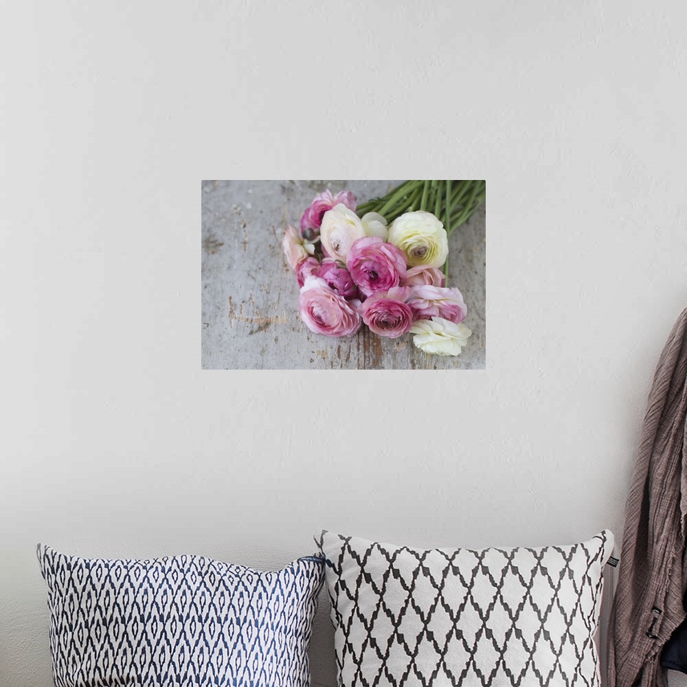 A bohemian room featuring Group of pastel colored ranunculus lying on aged painted wood.
