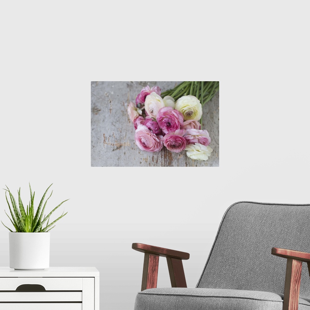 A modern room featuring Group of pastel colored ranunculus lying on aged painted wood.