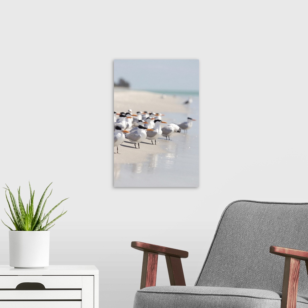 A modern room featuring A beautiful piece for the home or office of a group of birds standing on the edge of the ocean wa...