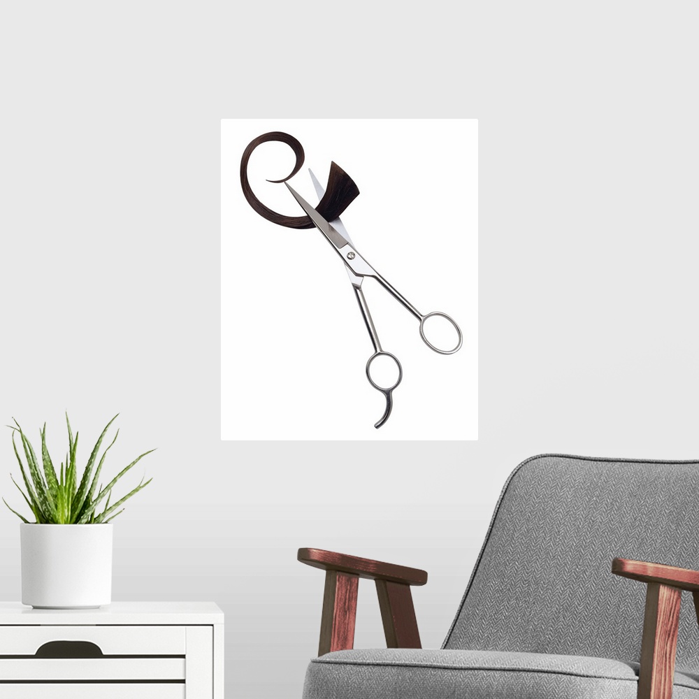 A modern room featuring Portrait photograph on a big canvas of a pair of hairdressing scissors, slightly open as they cle...