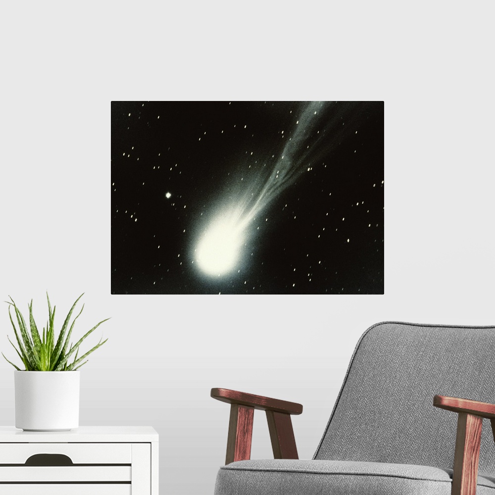 A modern room featuring Halleys Comet