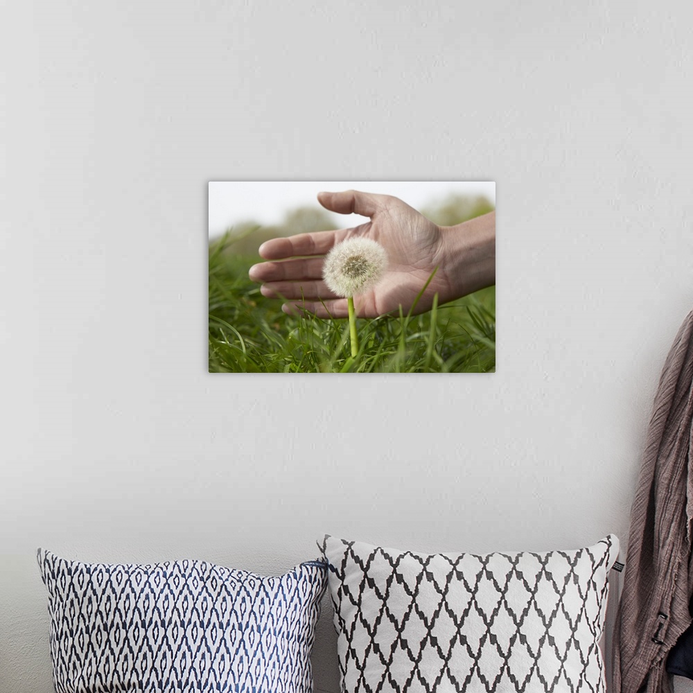 A bohemian room featuring Hand protecting dandelion