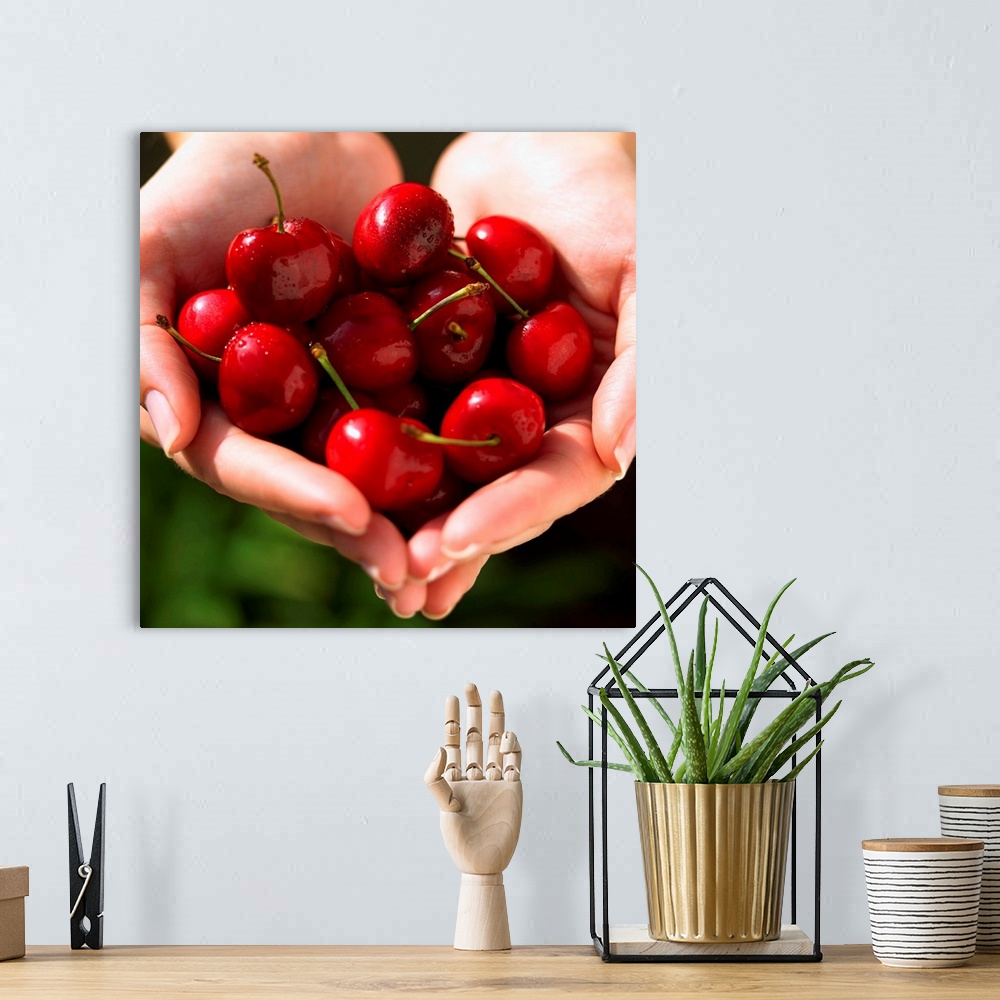 A bohemian room featuring Handful of cherries