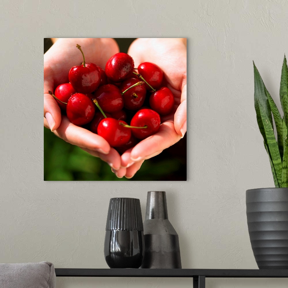 A modern room featuring Handful of cherries