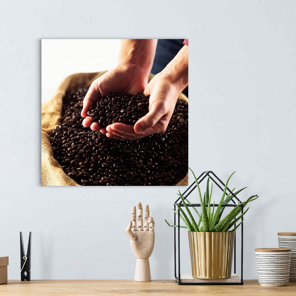 A bohemian room featuring Hands cupping coffee beans