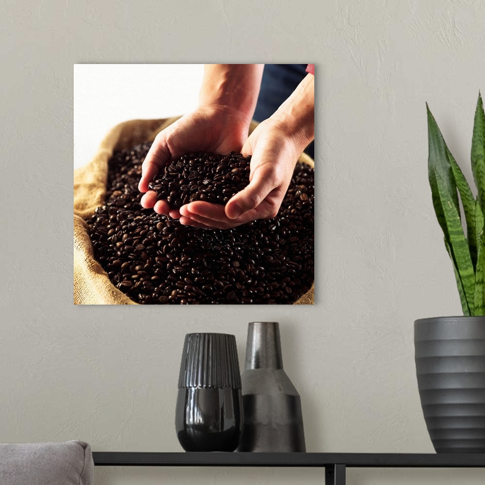 A modern room featuring Hands cupping coffee beans
