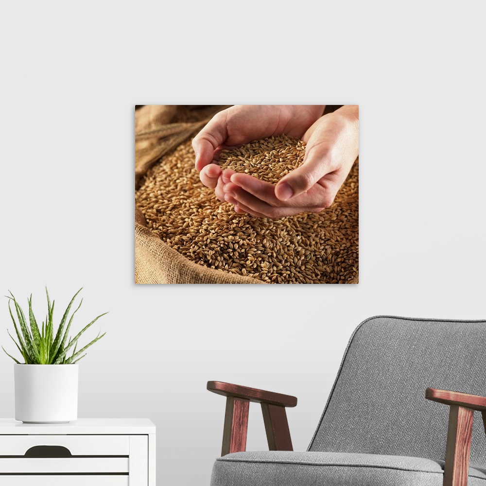 A modern room featuring Hands holding wheat
