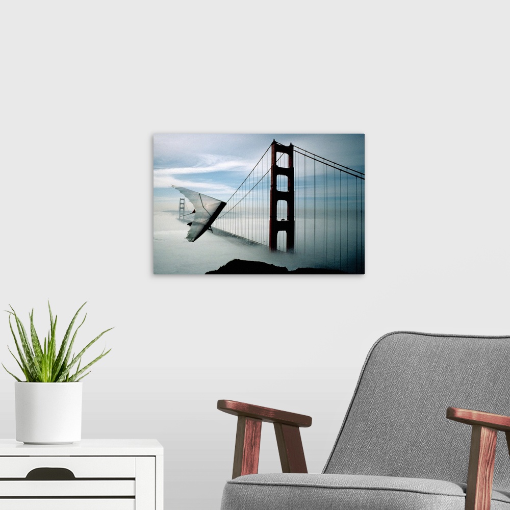 A modern room featuring Hang glider in San Francisco, California