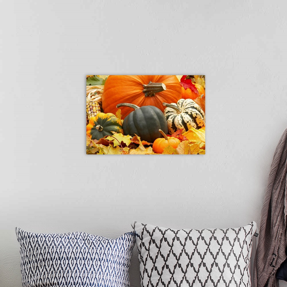 A bohemian room featuring Harvest still life with pumpkins and squash
