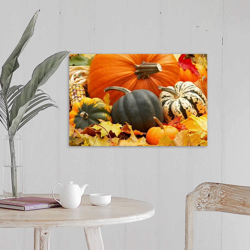 A farmhouse room featuring Harvest still life with pumpkins and squash