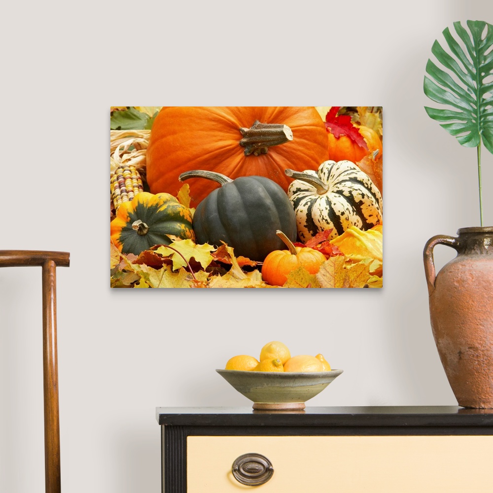 A traditional room featuring Harvest still life with pumpkins and squash