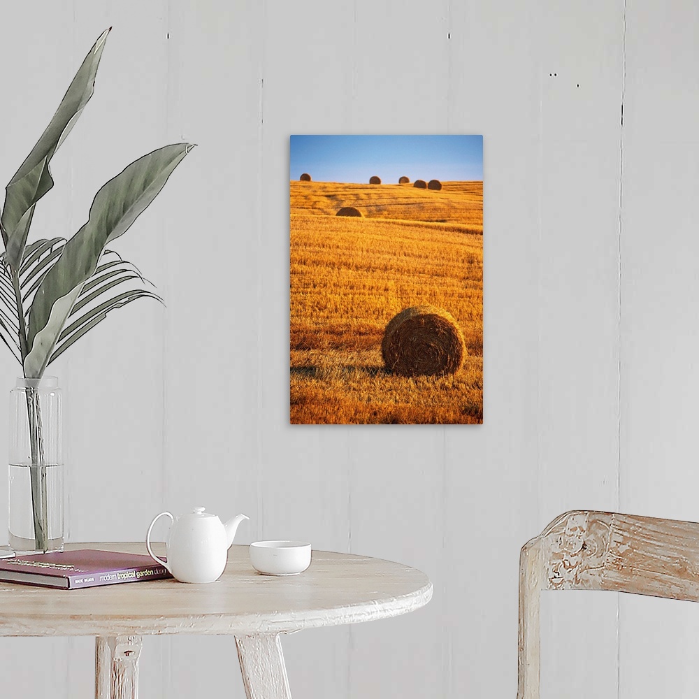 A farmhouse room featuring Harvested Fields Of Hay