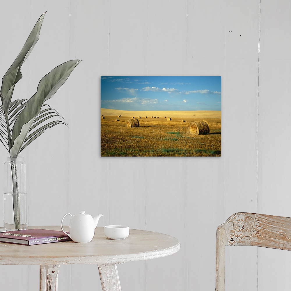 A farmhouse room featuring Hay field, North Dakota