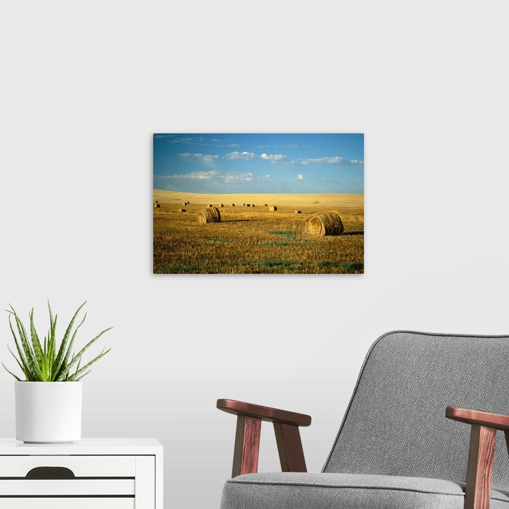 A modern room featuring Hay field, North Dakota