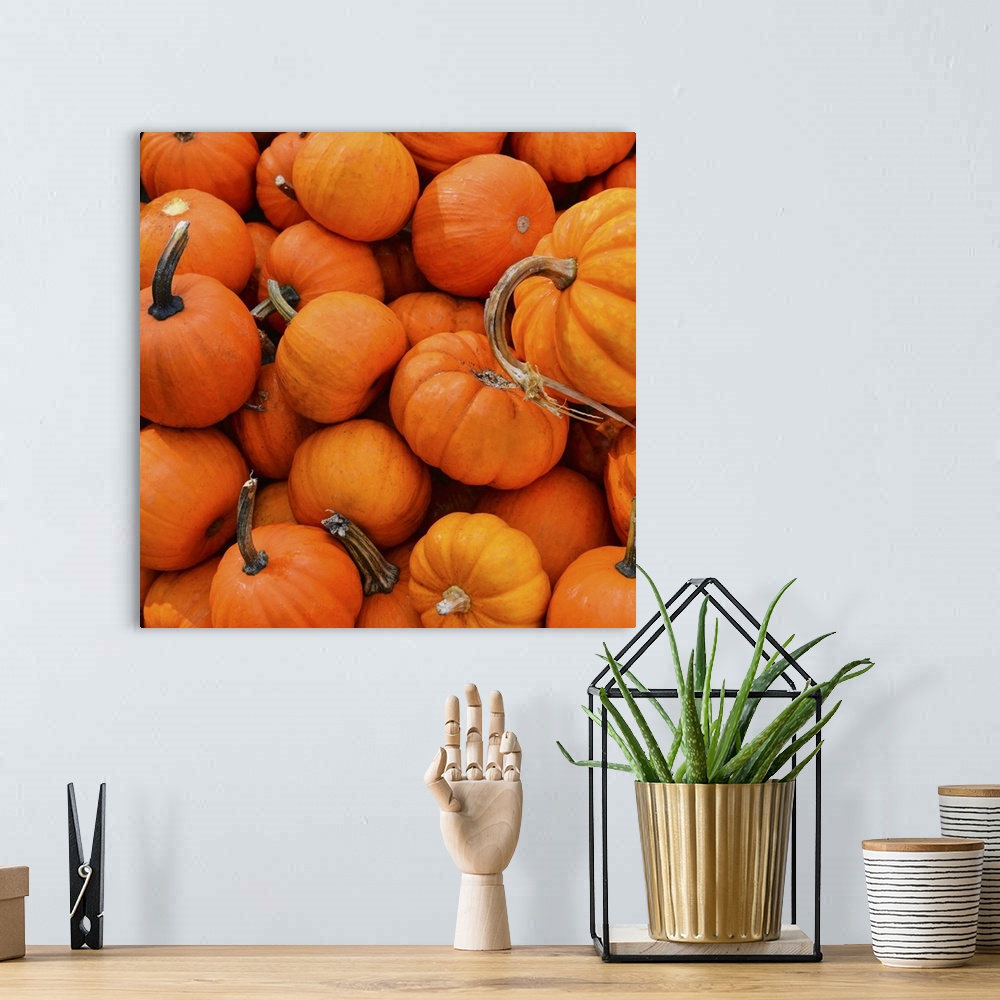 A bohemian room featuring An assortment of bright orange pumpkins.