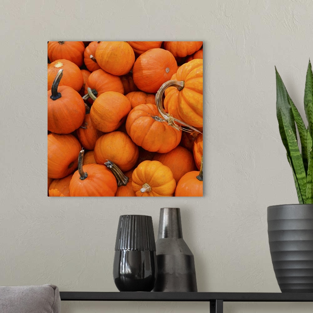 A modern room featuring An assortment of bright orange pumpkins.