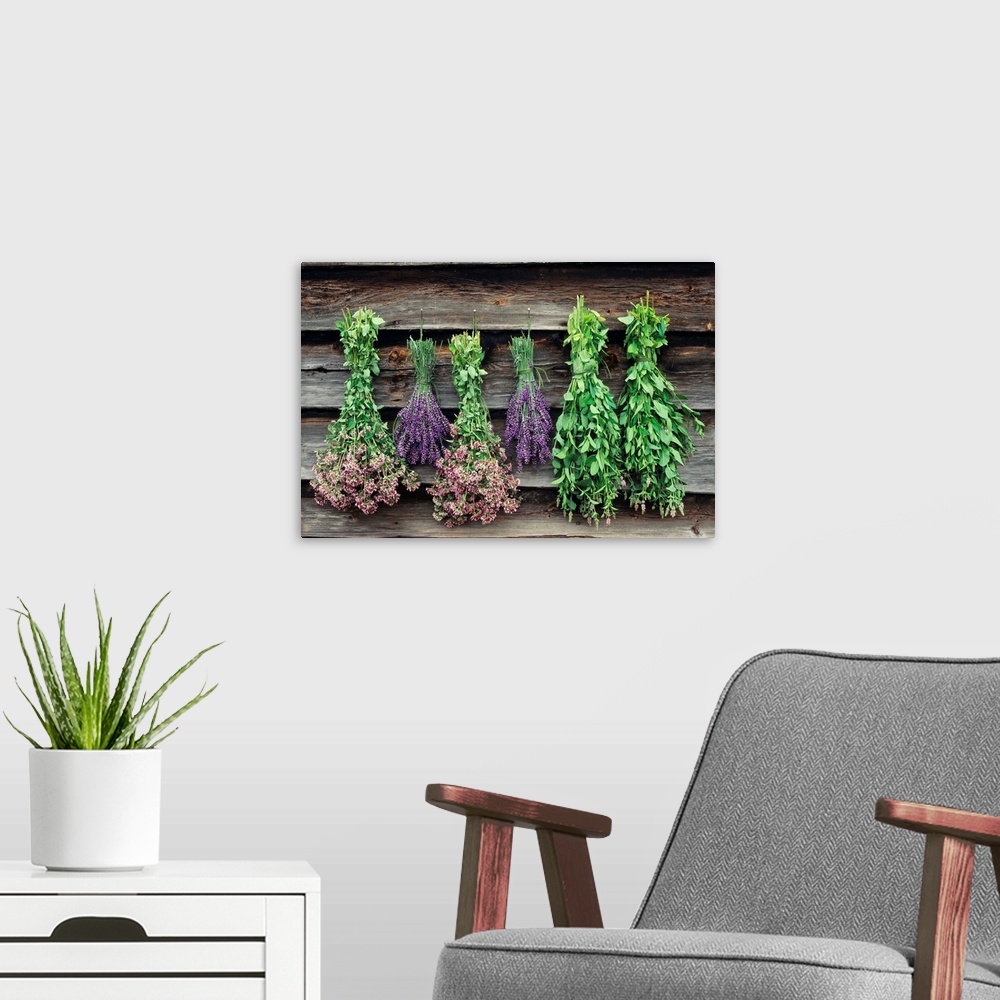 A modern room featuring Bundles of (left to right) mint, lavender, and oregano dry outside.