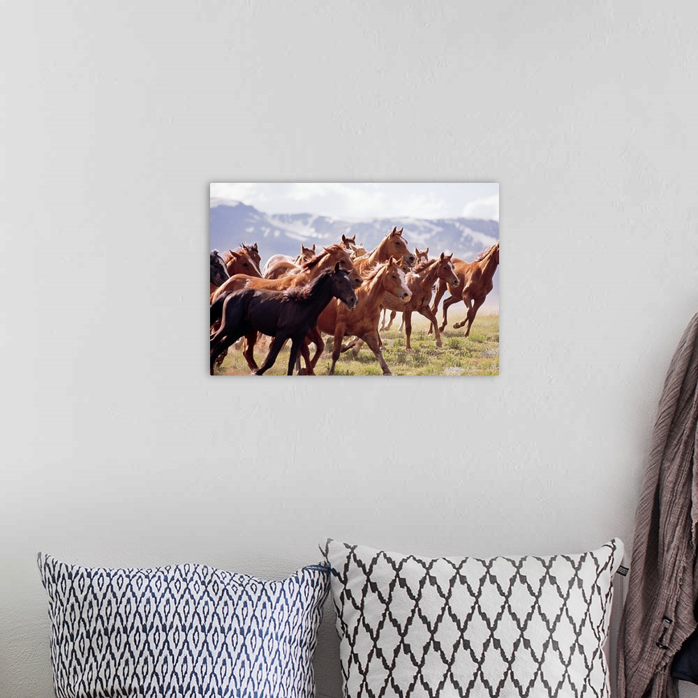 A bohemian room featuring Landscape photograph on a big canvas of a large herd of horses trotting through a vast field in F...