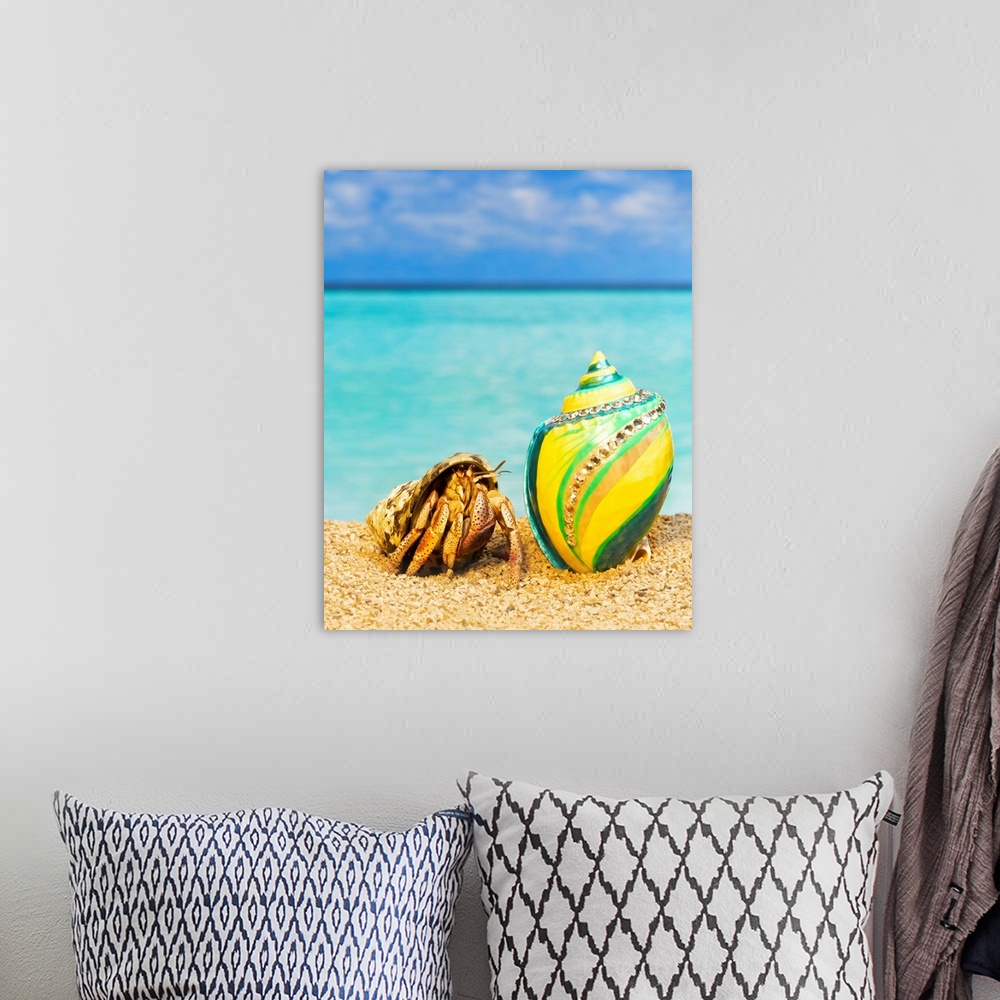 A bohemian room featuring Hermit crab looking at shells with rhinestones