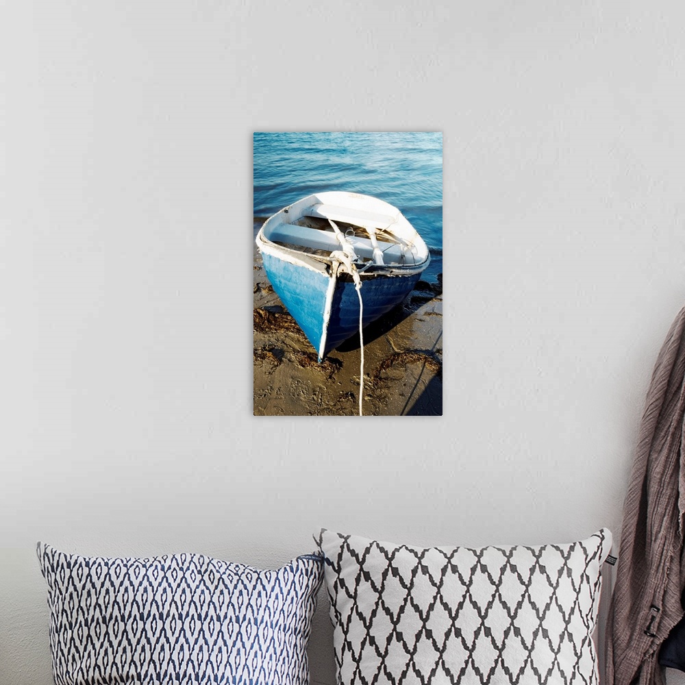 A bohemian room featuring High angle view of a rowboat parked on the shore, San Diego, California, USA