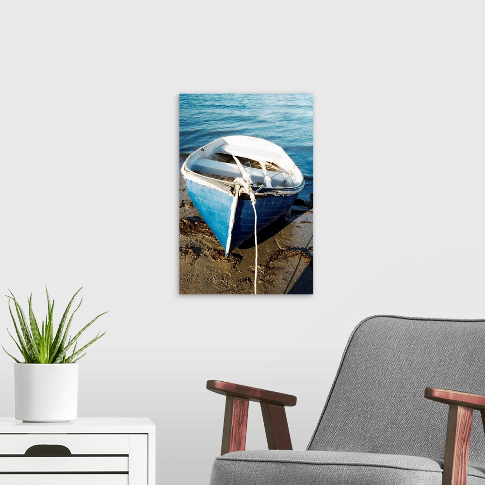 A modern room featuring High angle view of a rowboat parked on the shore, San Diego, California, USA