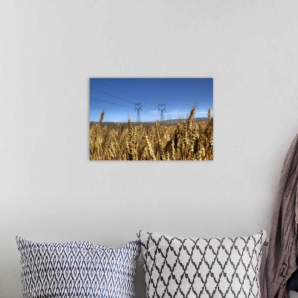 A bohemian room featuring High-tension power lines seen through a field of wheat in Wasco County, Oregon.