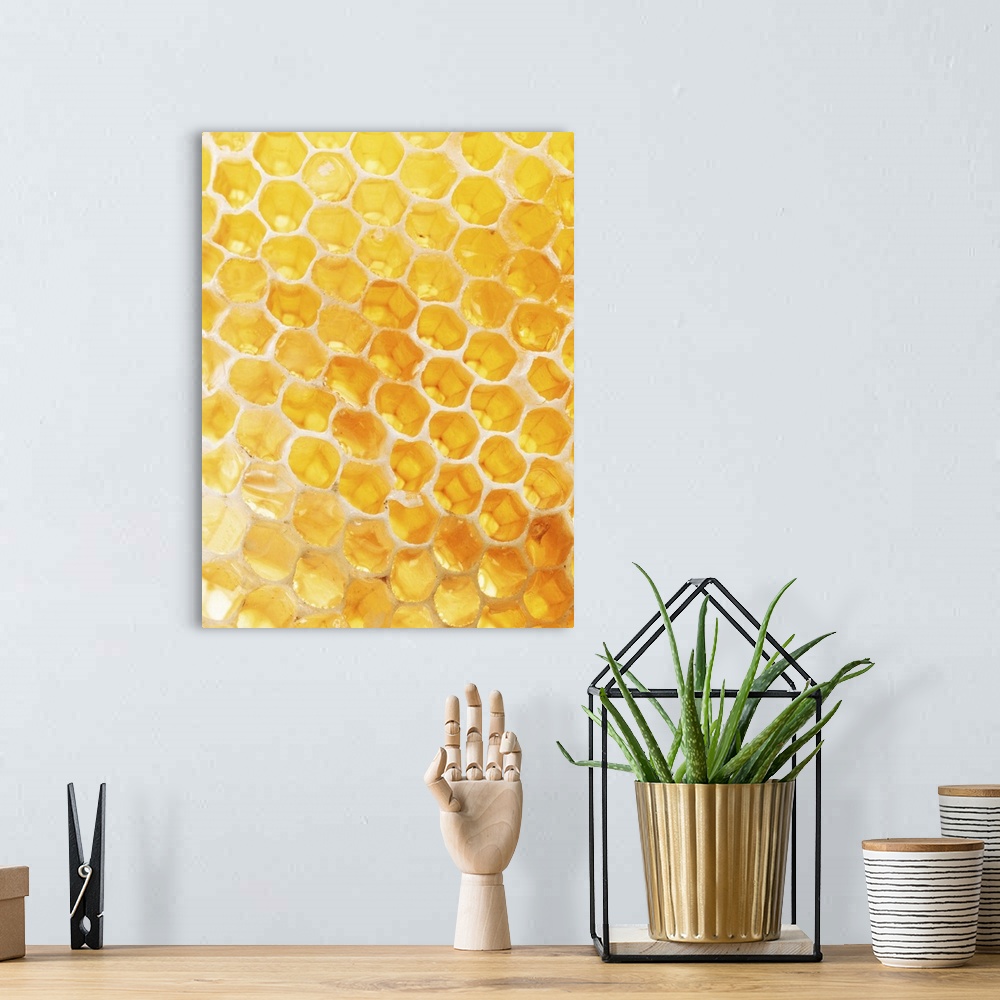 A bohemian room featuring Honeycomb Closeup
