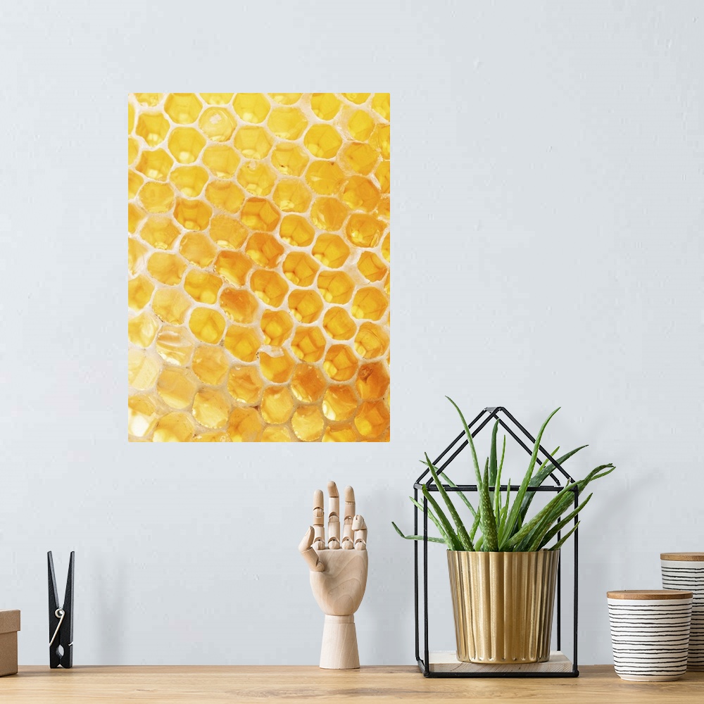 A bohemian room featuring Honeycomb Closeup