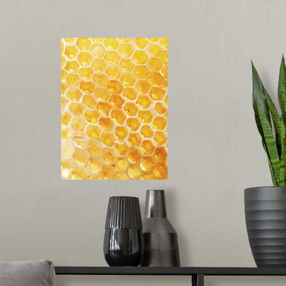 A modern room featuring Honeycomb Closeup
