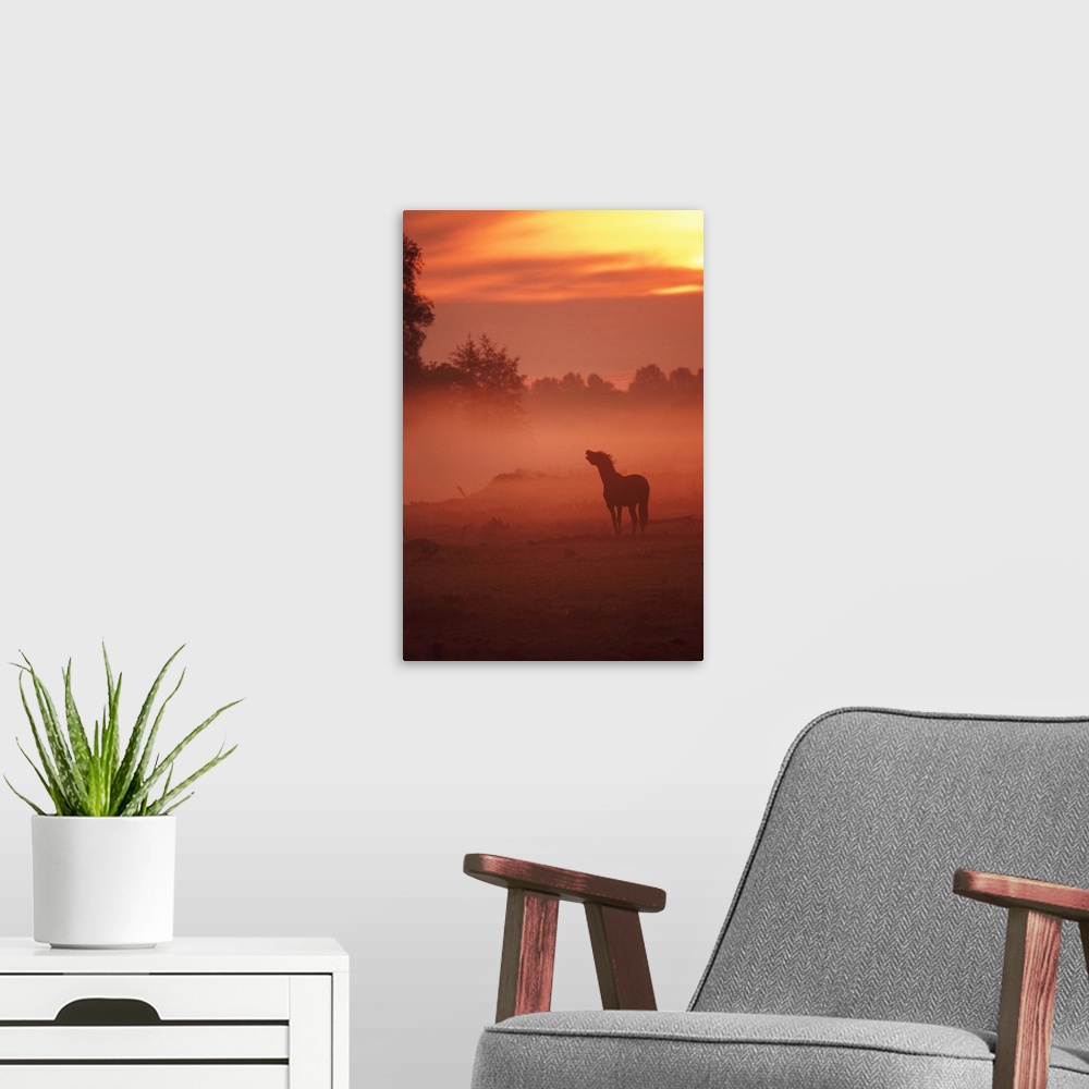 A modern room featuring horse at sunrise