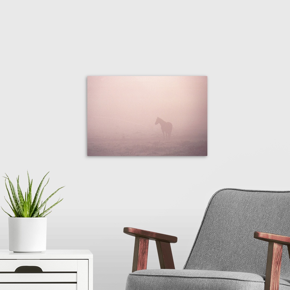 A modern room featuring horse in fog