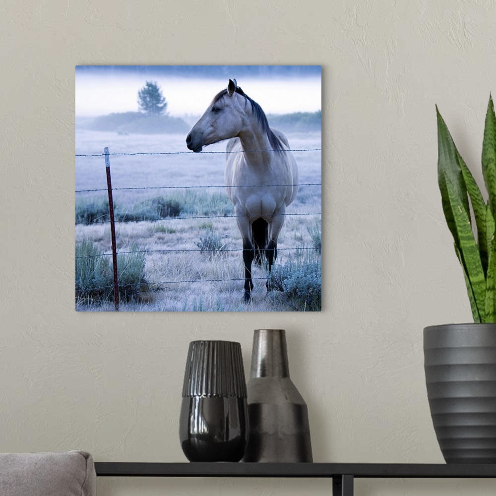 A modern room featuring Horse in hazy field