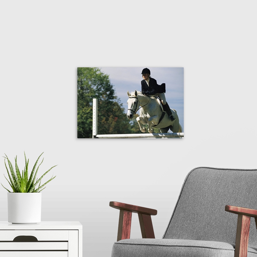 A modern room featuring Horse jumping in equestrian event
