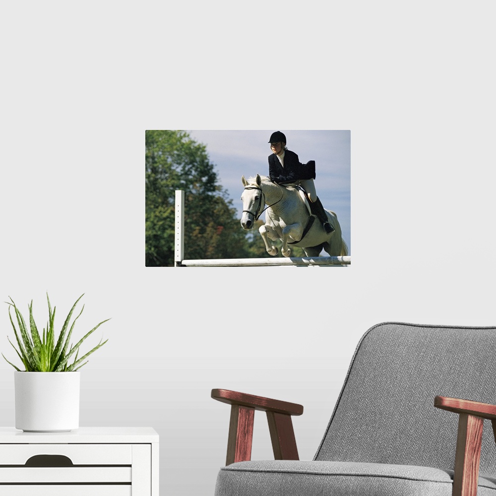 A modern room featuring Horse jumping in equestrian event