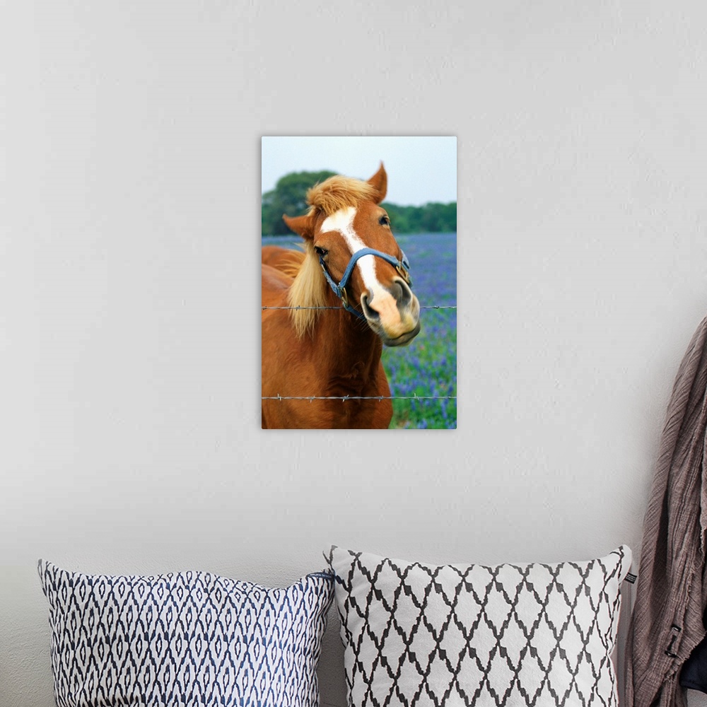 A bohemian room featuring Horse Portrait