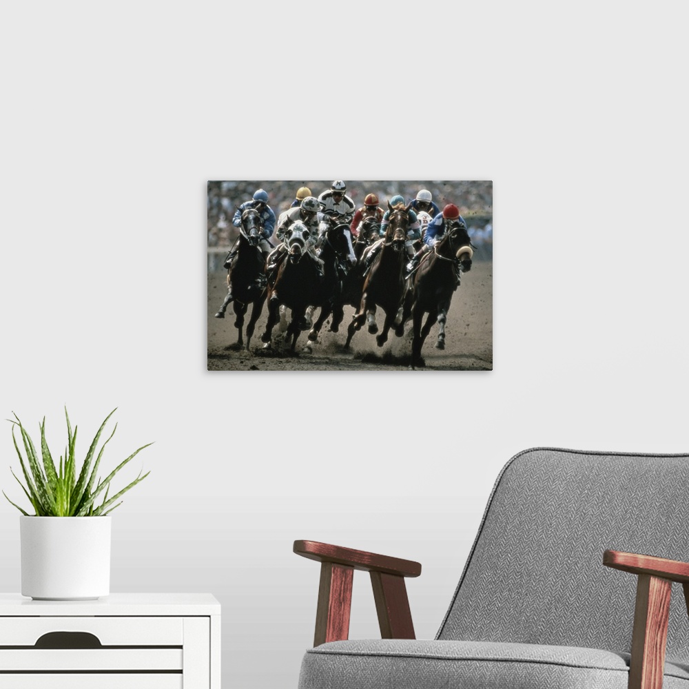 A modern room featuring Horse race in California