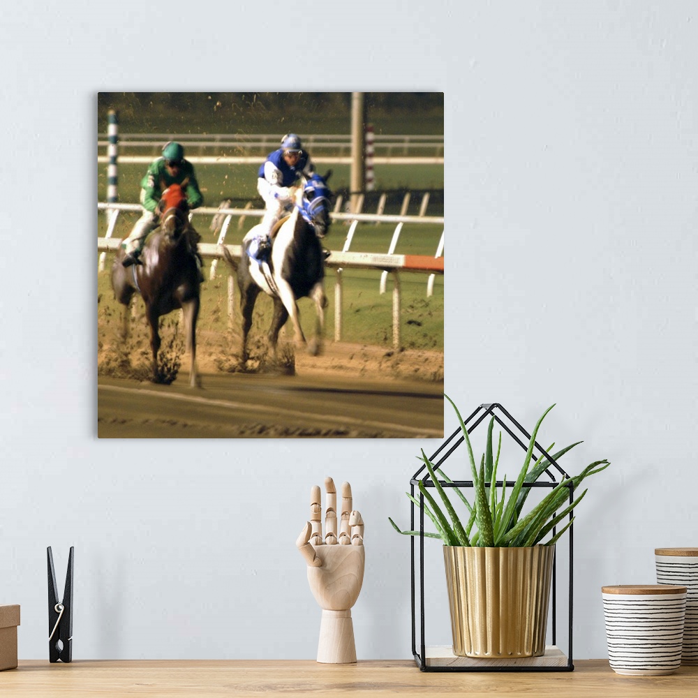 A bohemian room featuring Horse racing