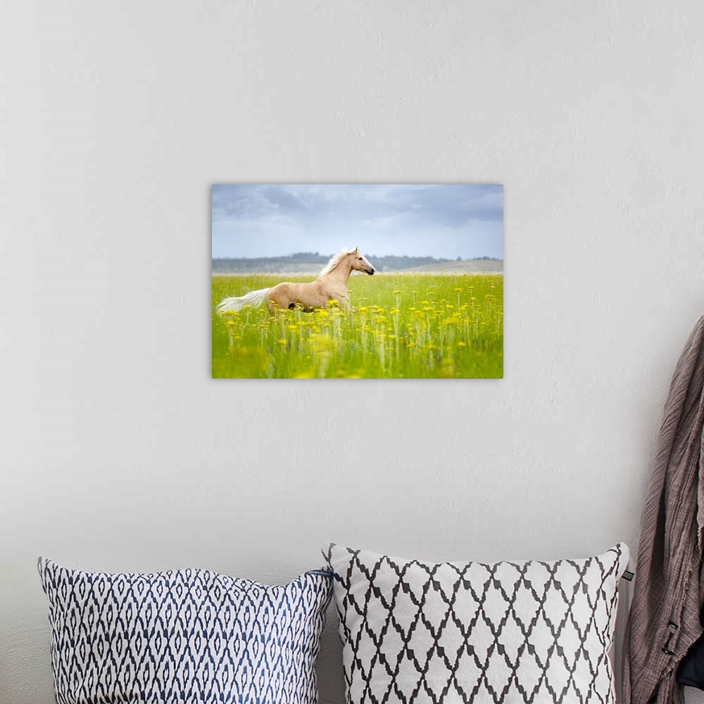 A bohemian room featuring Horizontal photograph on a big wall hanging of a tan horse trotting through a golden field of tal...